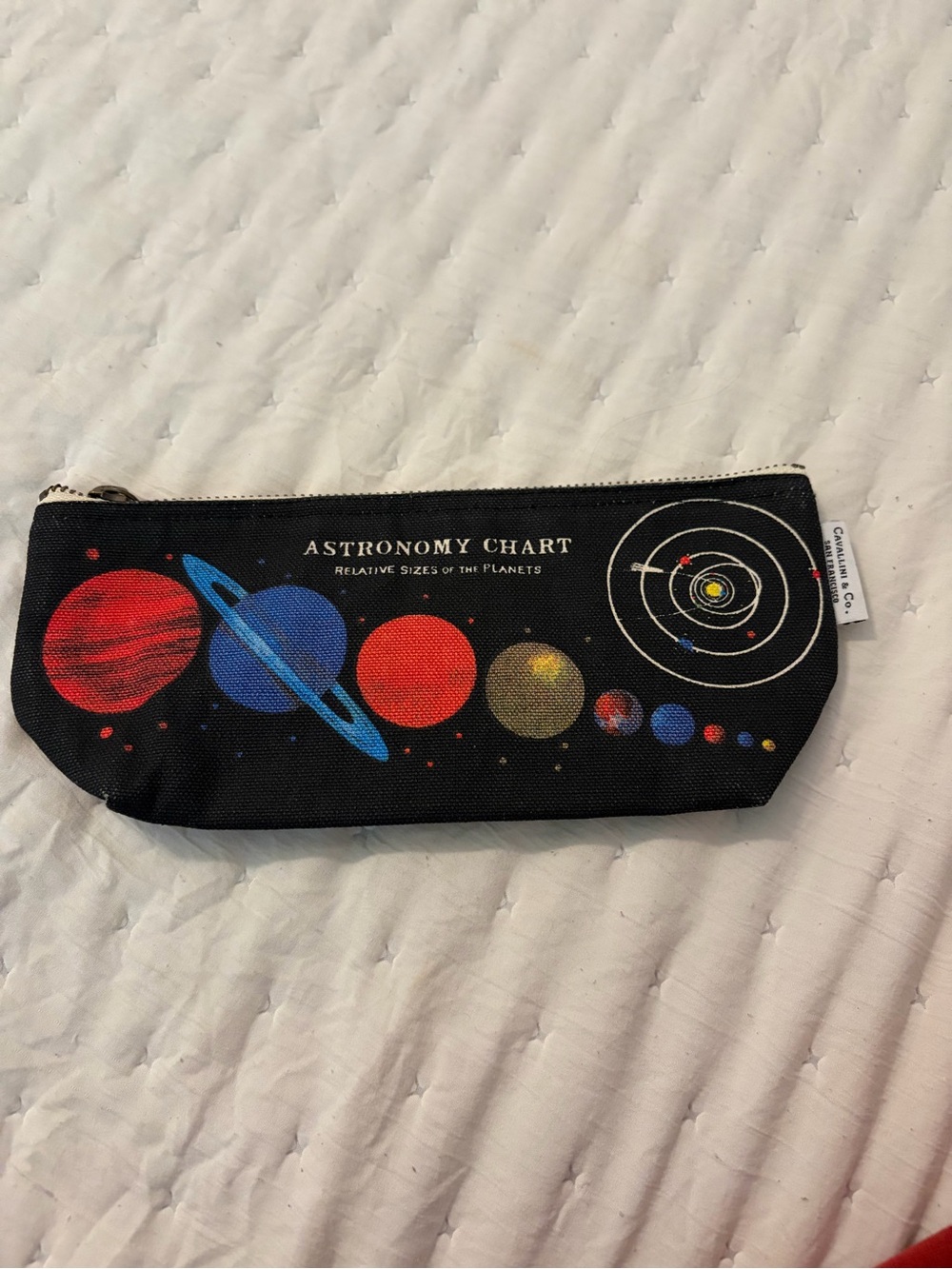Cavallini & Co. Astronomy Chart Pencil Pouch